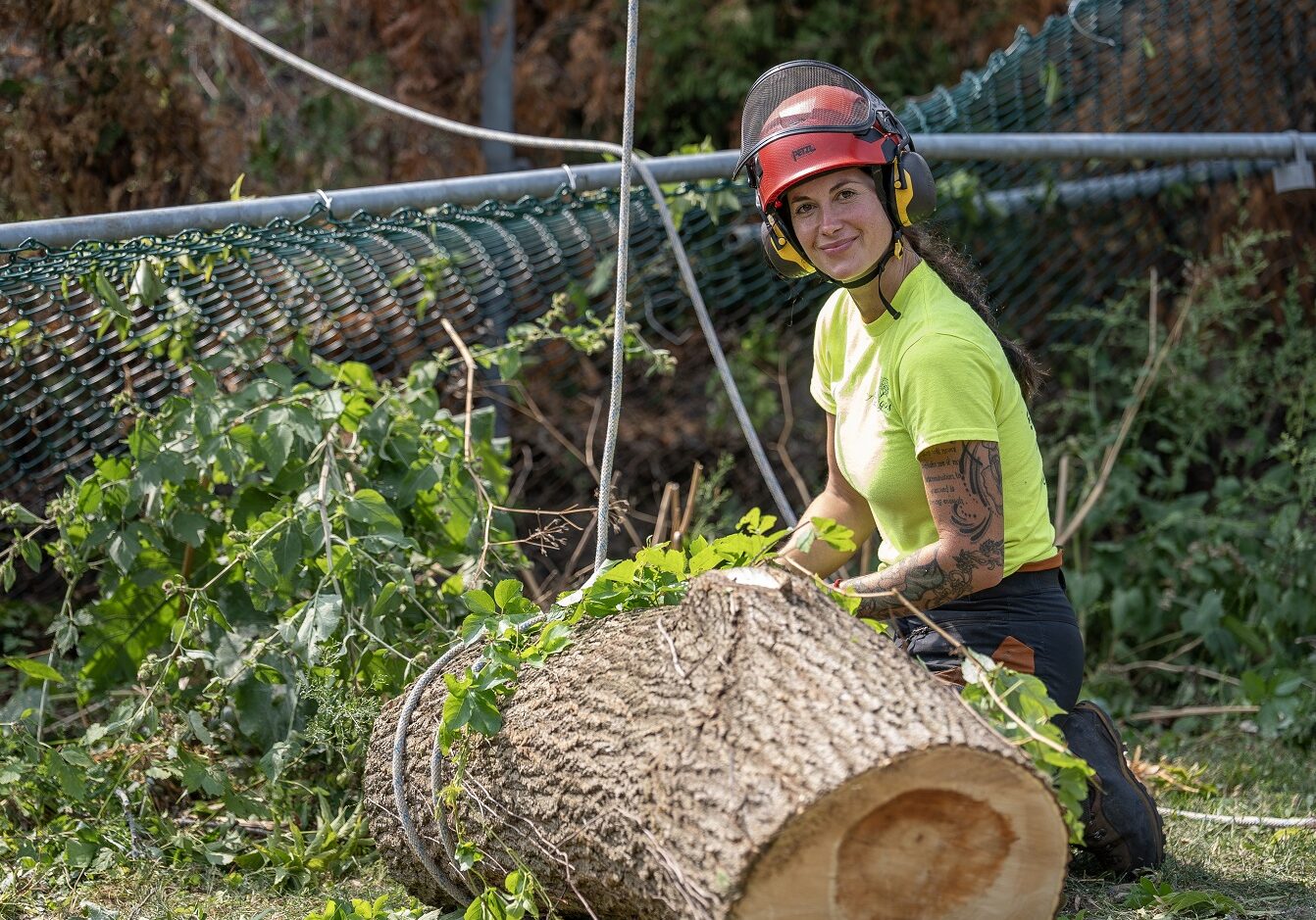 Émondage Arborigenes