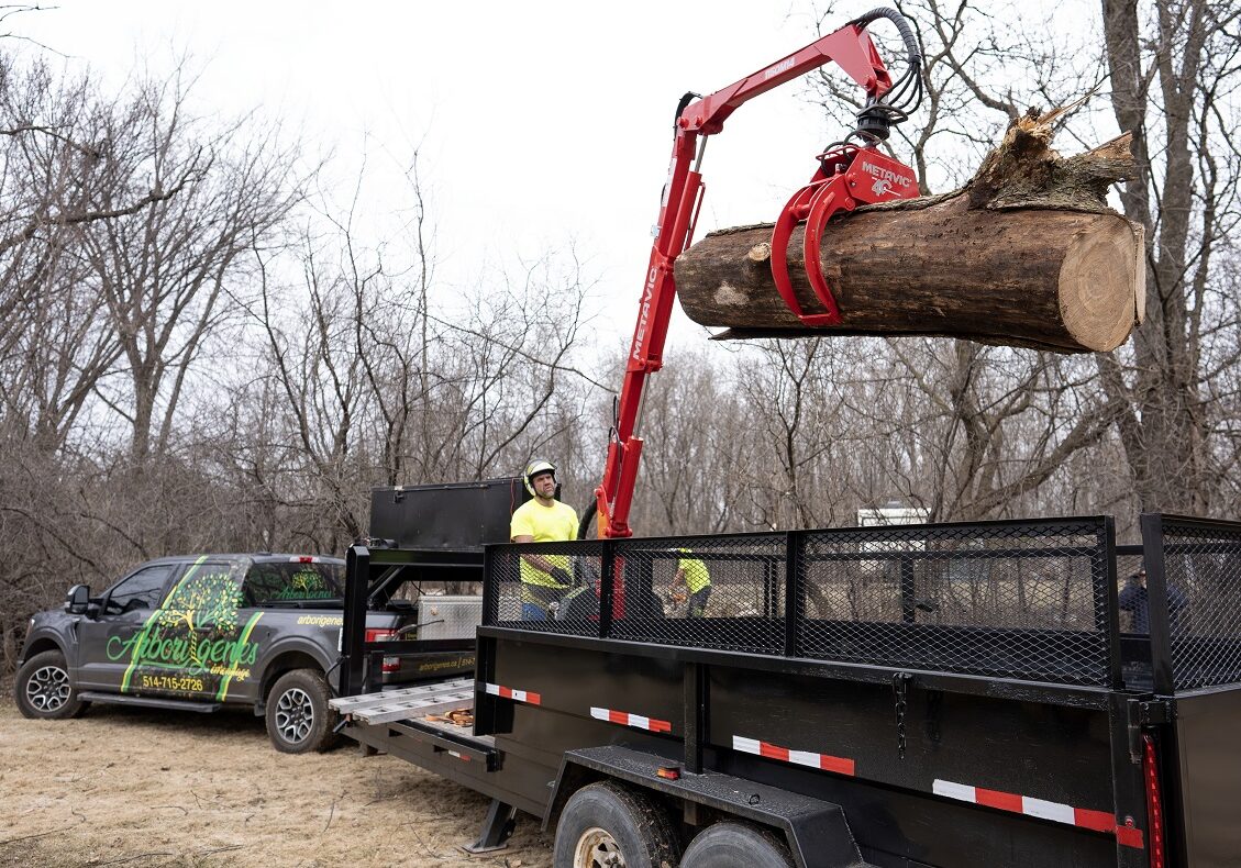 Émondage Arborigenes