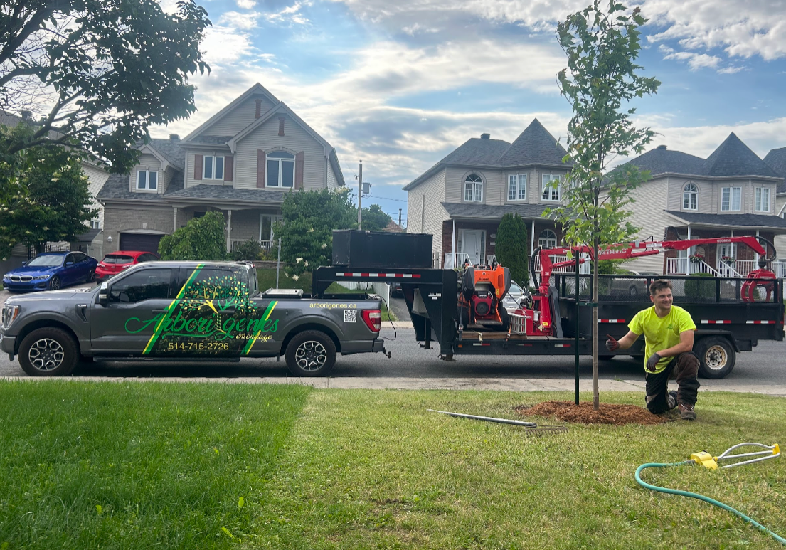 Plantation_Émondage Arborigenes